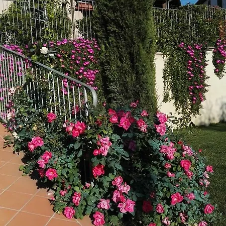 All'aia Bianca 1868